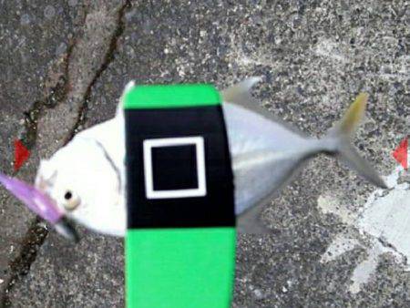 ライトゲームで多種目釣り